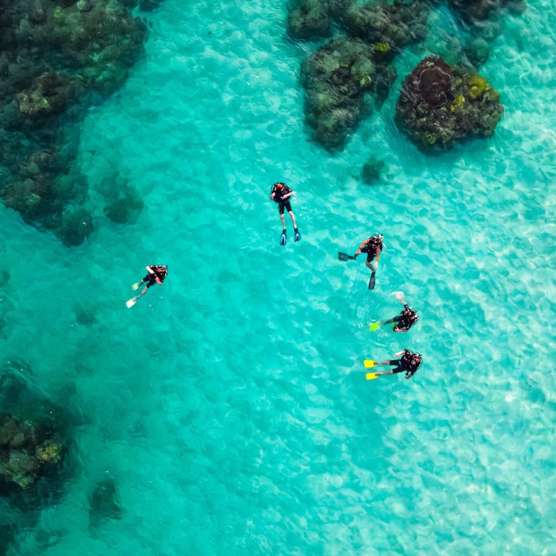 a group of people swimming in a pool of water