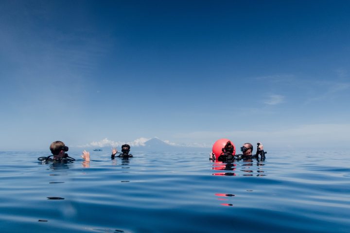 a group of people swimming in the water