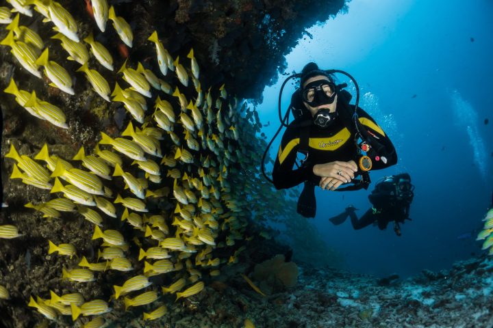 an underwater shot of a person