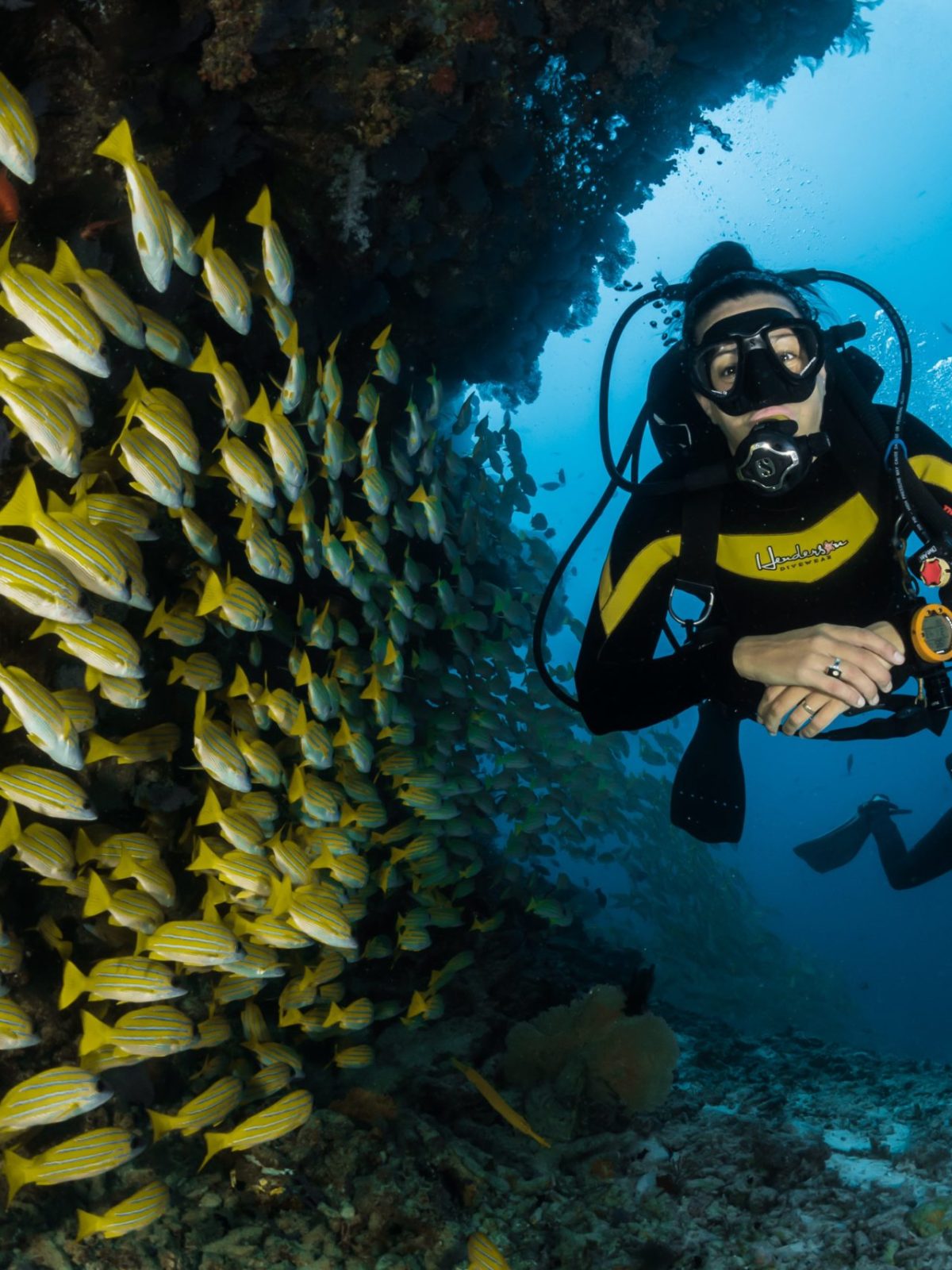 an underwater shot of a person